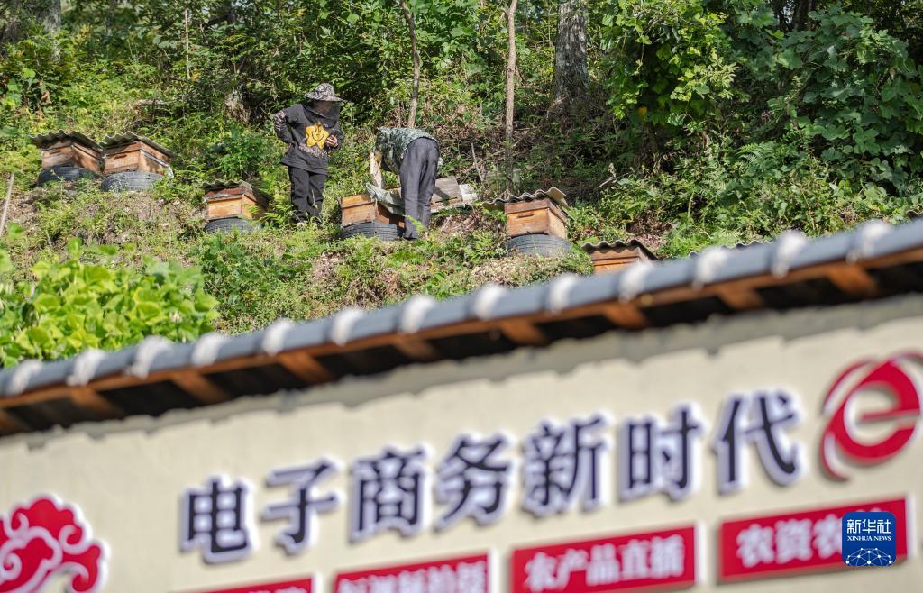 大红鹰官网m.58.com